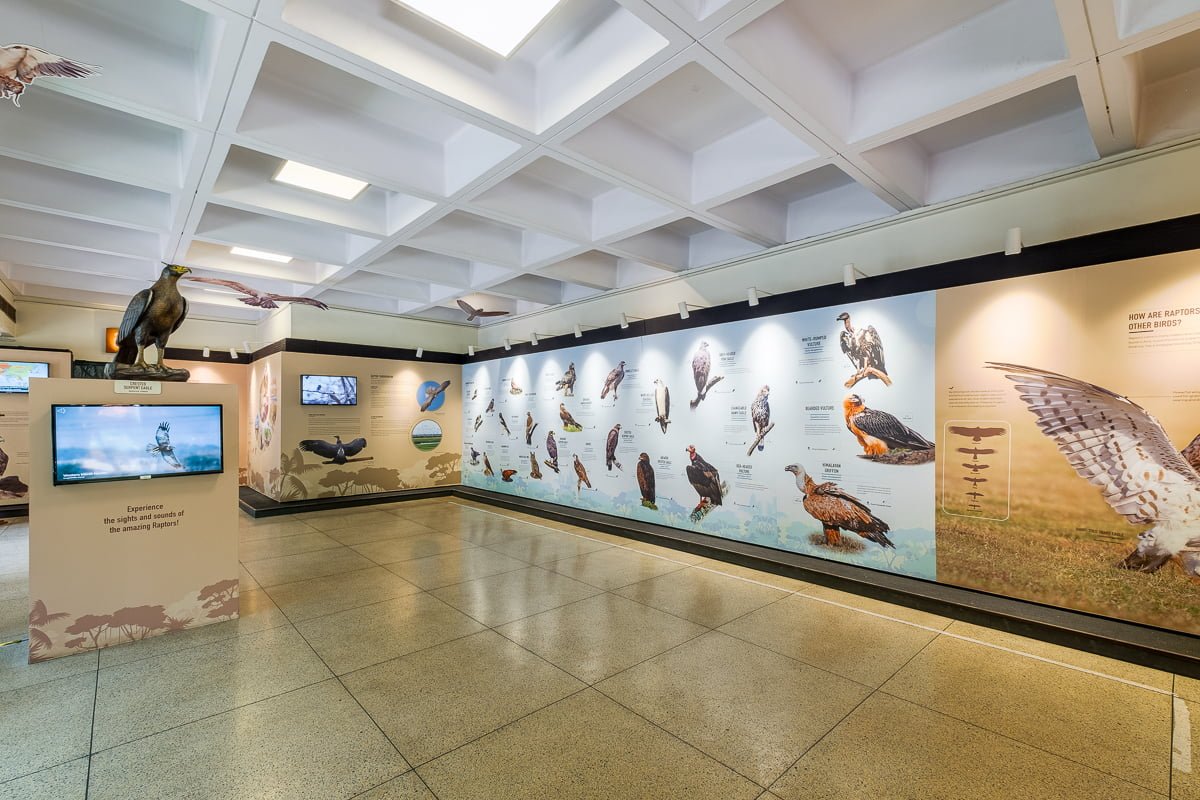 Wwf bird gallery